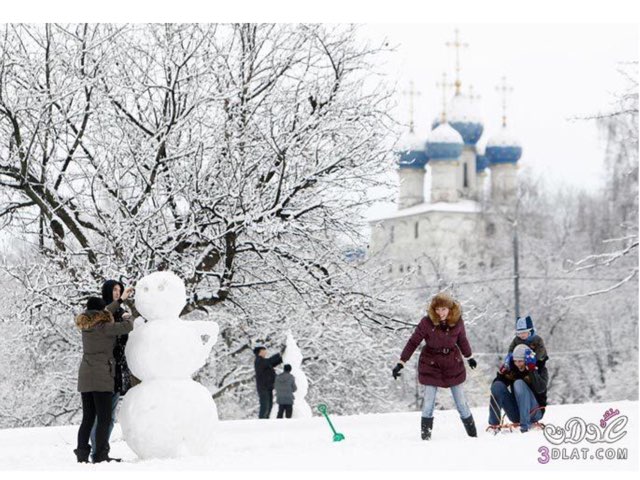 فصول السنة الأربعة
 by Bashoon Alenize