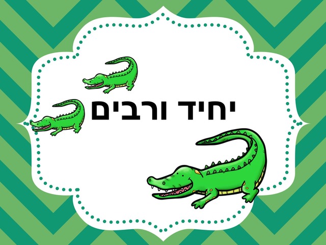 יחיד רבים by יהב בוכריס