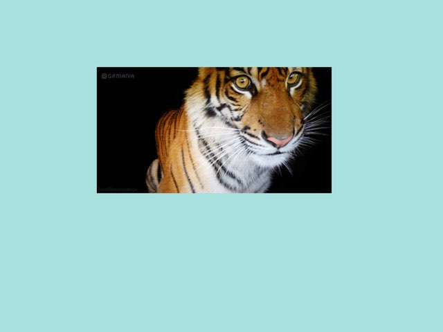 Puzle De Animales by Iván Martin-borregon