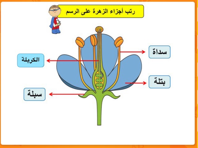 الازهار by Janoksa Ahmad