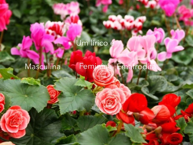 Ciências  by Mada Avillez