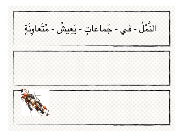 لعبة 99 by Om Alhala