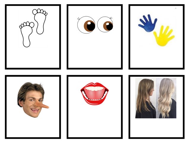 חלקי גוף מרינה והדס by Marina Tel