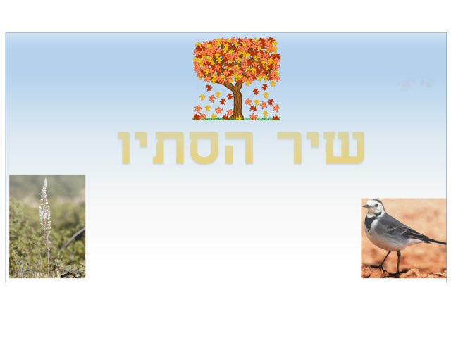 שיר הסתיו by Shy Biber