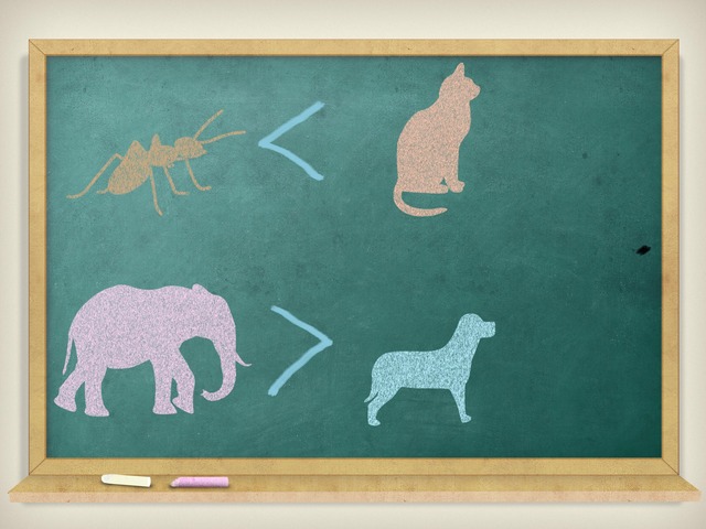 Что Больше? by Малика Умарова