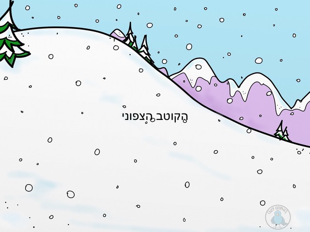 חיות הקוטב הצפוני  by ניצן גן