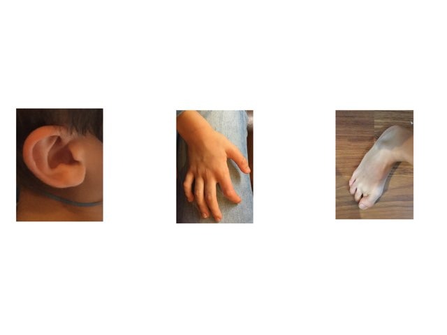 Partes Del Cuerpo by Paloma Estrada