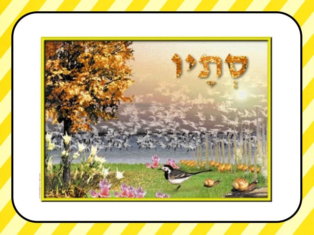 משחק 153 by Jenia Koifman