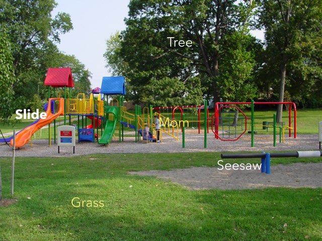 Sara by Michelle Korda