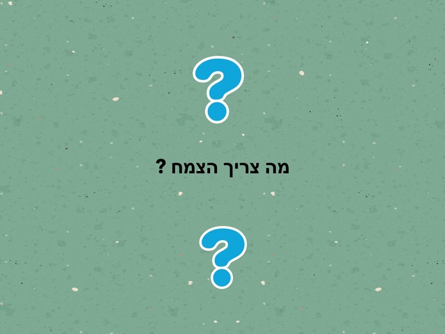 מה צריך הצמח ? by mika naaman