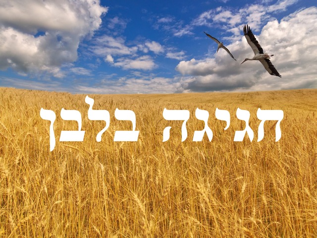 חגיגה בלבן by ליאת גתר