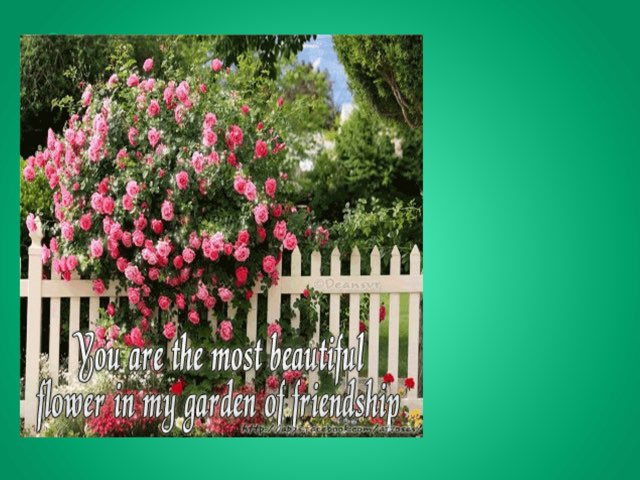 Garden Puzzle by Alexis Dryburgh