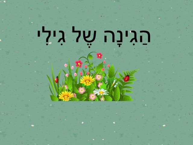 הגינה של גילי by אירית גריצנר