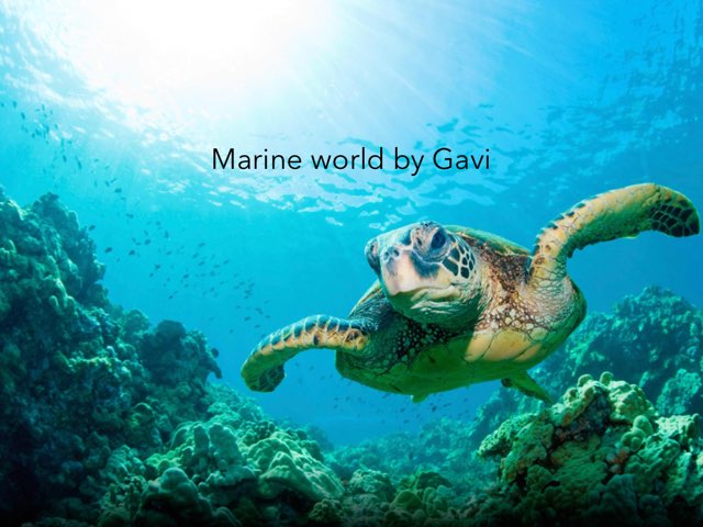 Ocean By Gavi  by Morah Alex