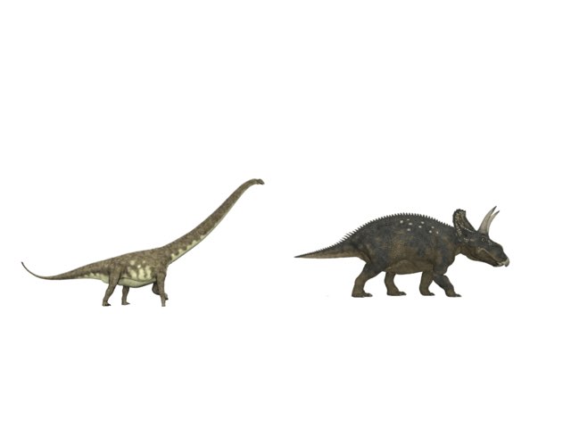 Yes No  by Belinda Wu