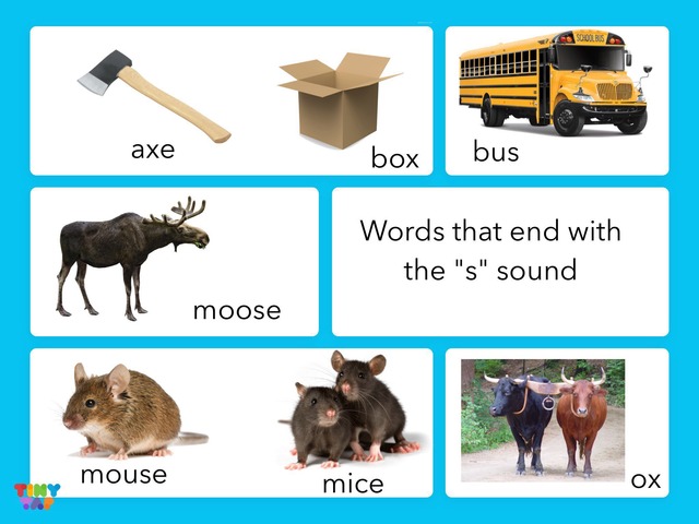 Words That End With S By Carol Smith Educational Games For Kids