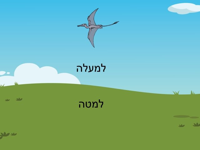 למעלה ולמטה by נואית ברקאי