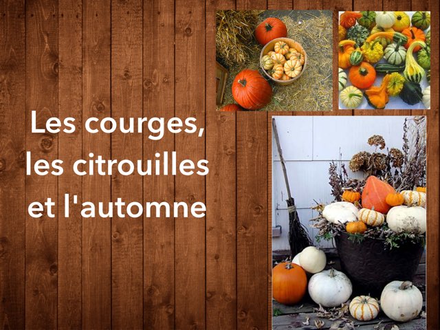 Les Courges, Les Citrouilles Et L'automne  by Alex Létourneau