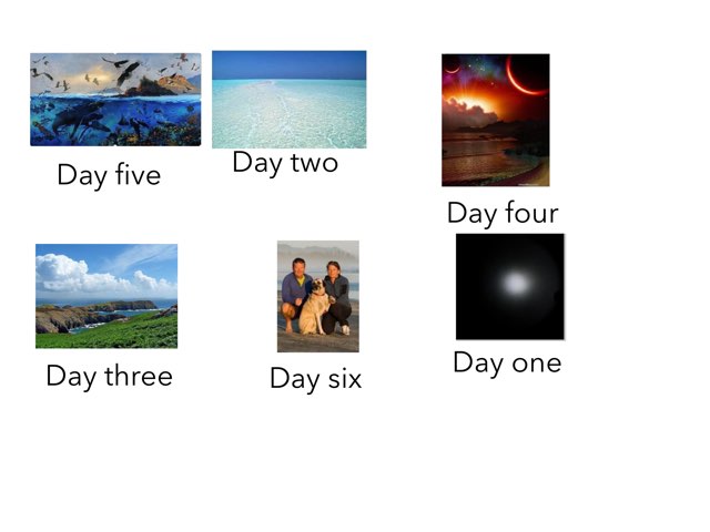 Match the day of creation to the correct picture by Geri Segel