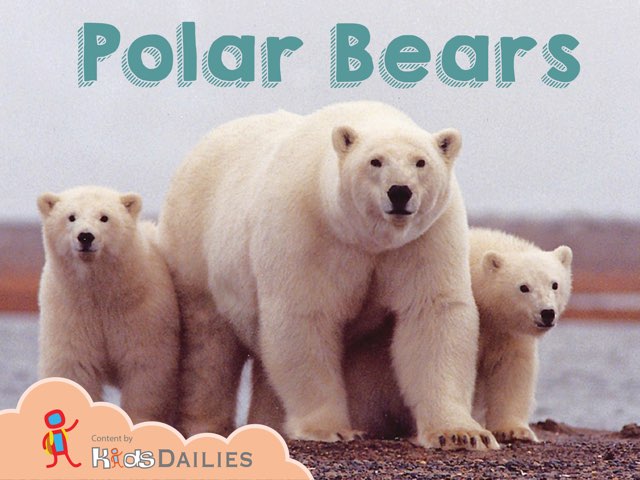 Polar Bears Free Activities online for kids in 2nd grade by Kids Dailies