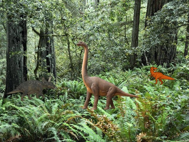 Dino's Begrippen by Katrien Dejonghe