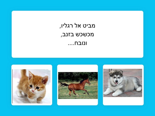 חידות ביוגה בשילוב קלפי יוגה by רווית בהט