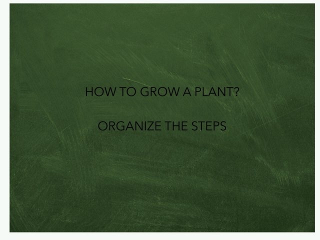 G4D - Steps To Grow A Plant by g4d pv