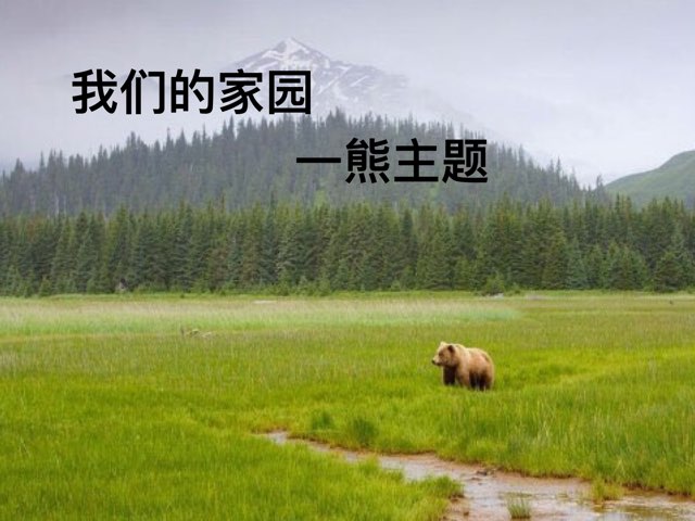 我们的家园熊 by Zoe Zou