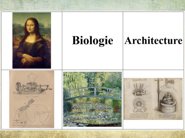 Les 1001 talents de Léonard De Vinci by Carniel Joris