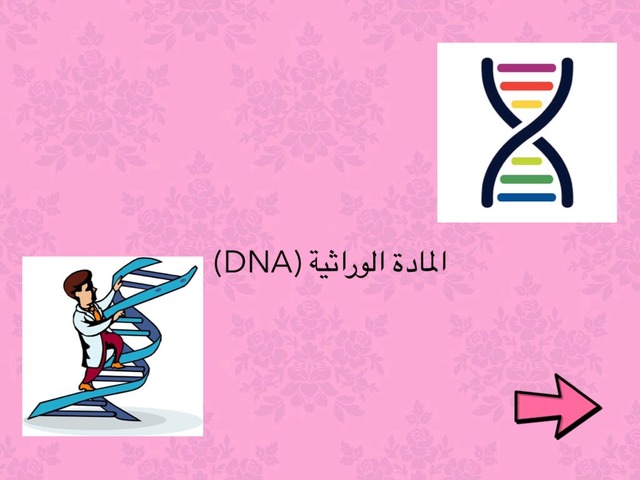 المادة الوراثية DNA by Atheer R