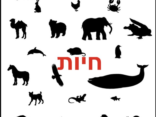 משחק 10 by מיכל פרל
