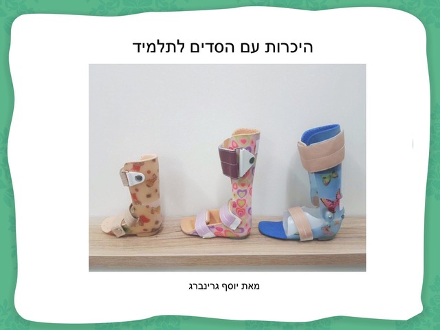 היכרות עם הסדים by רעיה פיינה