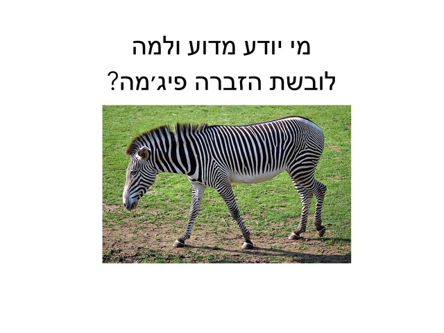 מי יודע מדוע ולמה -שיר הזברה  by Nizan Zuta