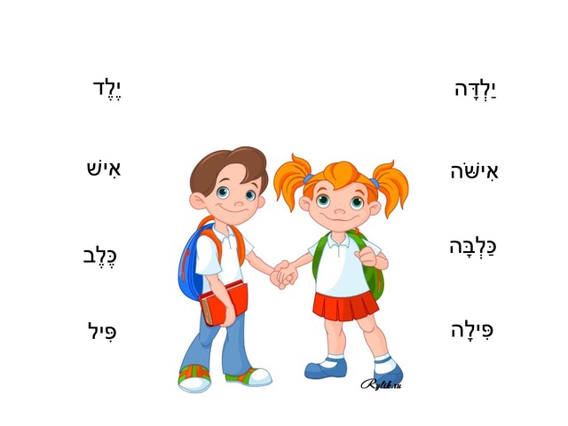 זכר ונקבה by ליאור קרמיסי