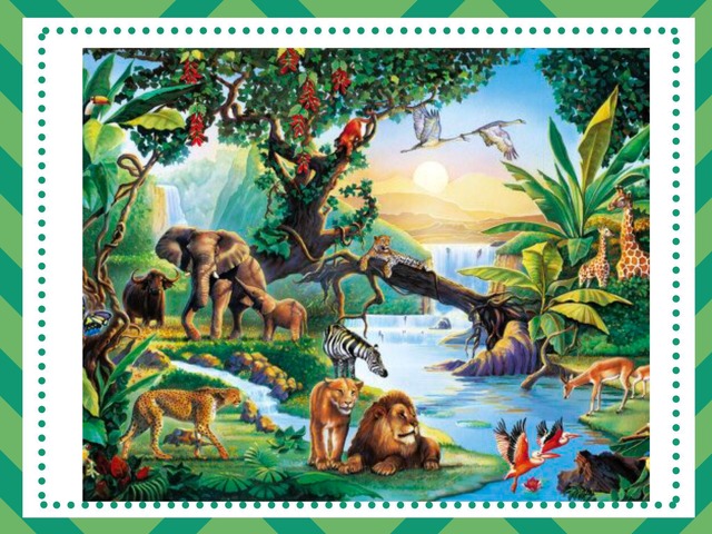 بازل by מונה מצארוה