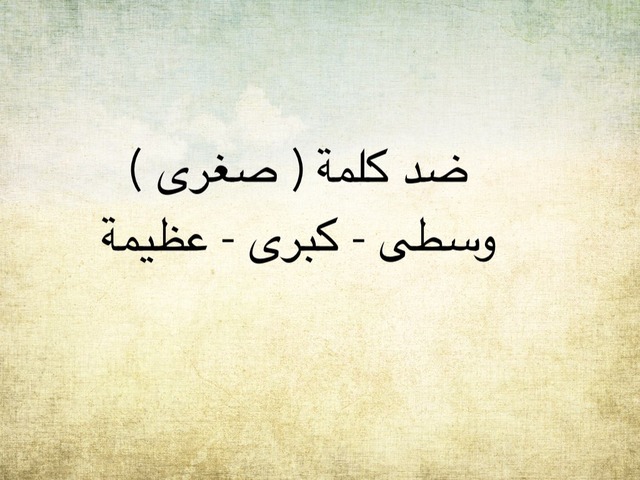 ثروة لغوية ابن النفيس  by Mahed Altarsha