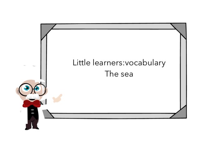 Little Learners:vocabulary The Sea by Flora Silver
