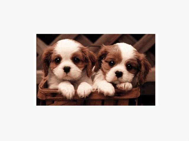 מילים באנגלית-1 by Liran Michaely