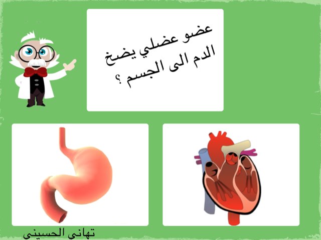 لعبة 288 by Abla Toto