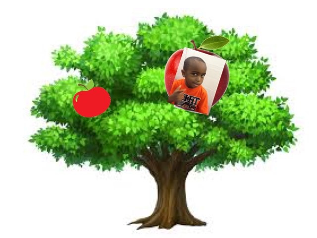 Apples PM by Stephanie Rich