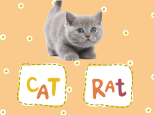 5555 by MeAn Praeknokkaew