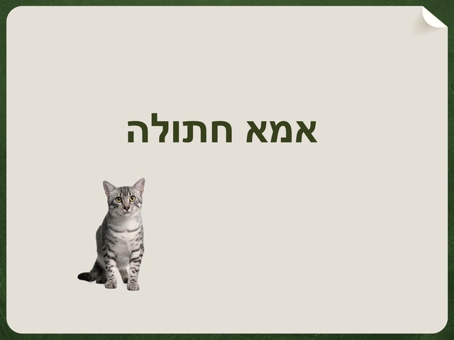 הבנת הנקרא פרטני 4 by מעין אילוז