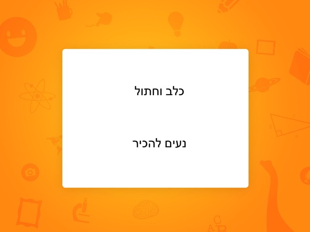 כלב וחתול by רחל קוניגסברג
