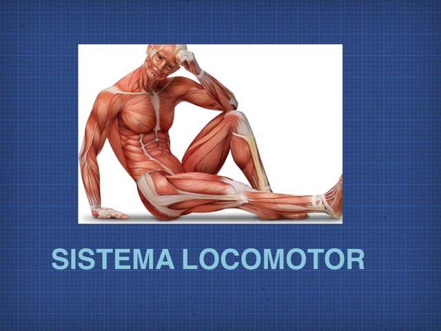 5A LOCOMOTOR by Maja Malena Garcia Callegari