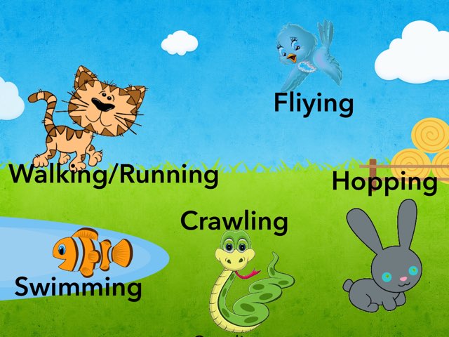 حركة الحيوانات بالانجليزي by Dalal alturkait