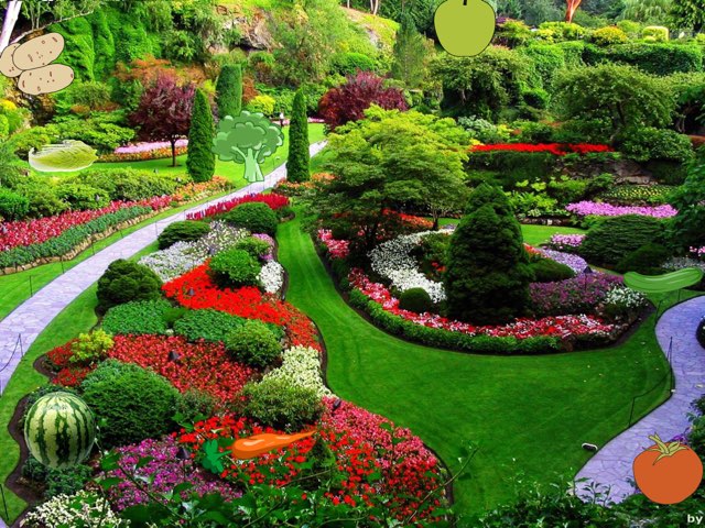 花园 by Lídice Rulí