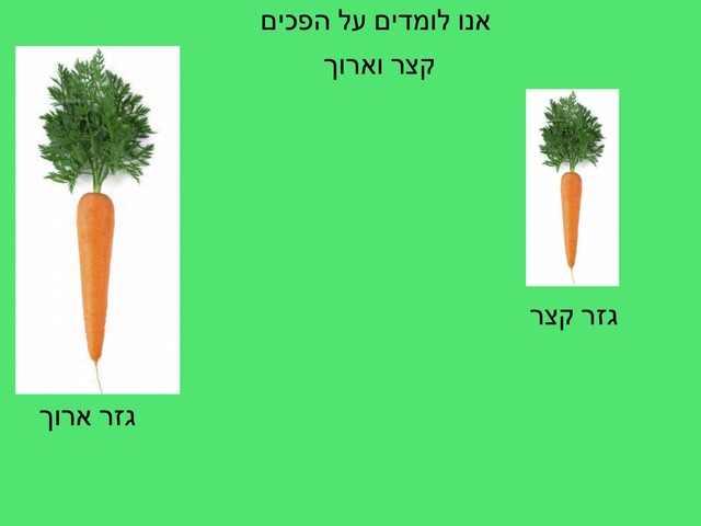 אנו לומדים  על הפכים  by Rosa Linman