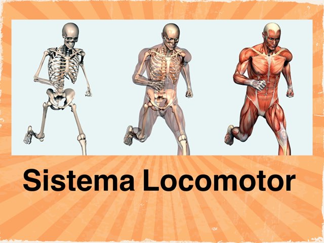 5C LOCOMOTOR by Maja Malena Garcia Callegari