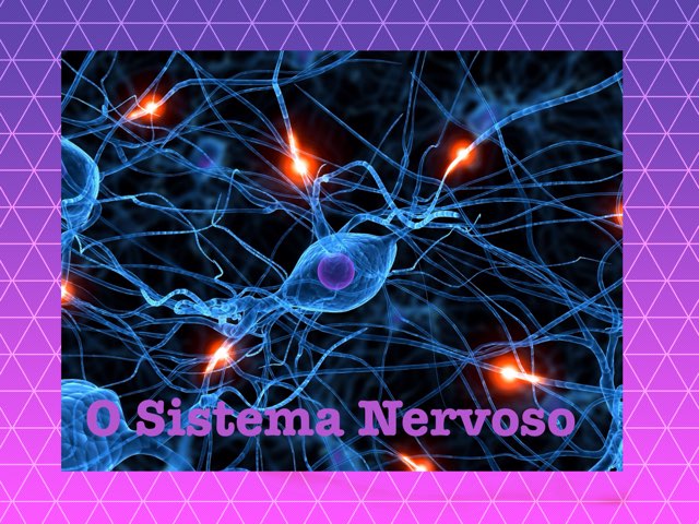 5C NERVOSO by Maja Malena Garcia Callegari