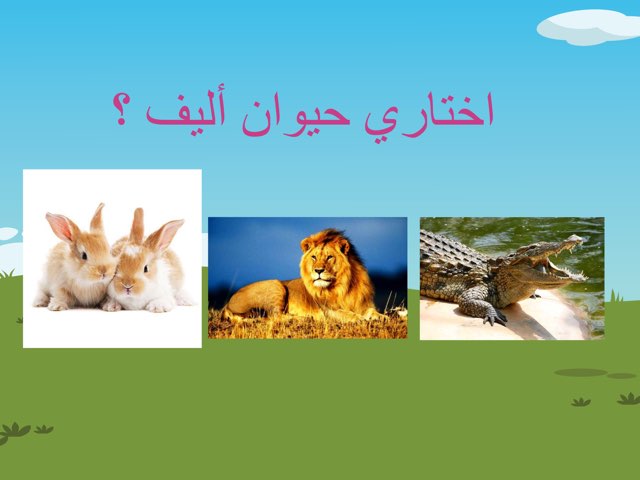 حيوانات by Aisha On